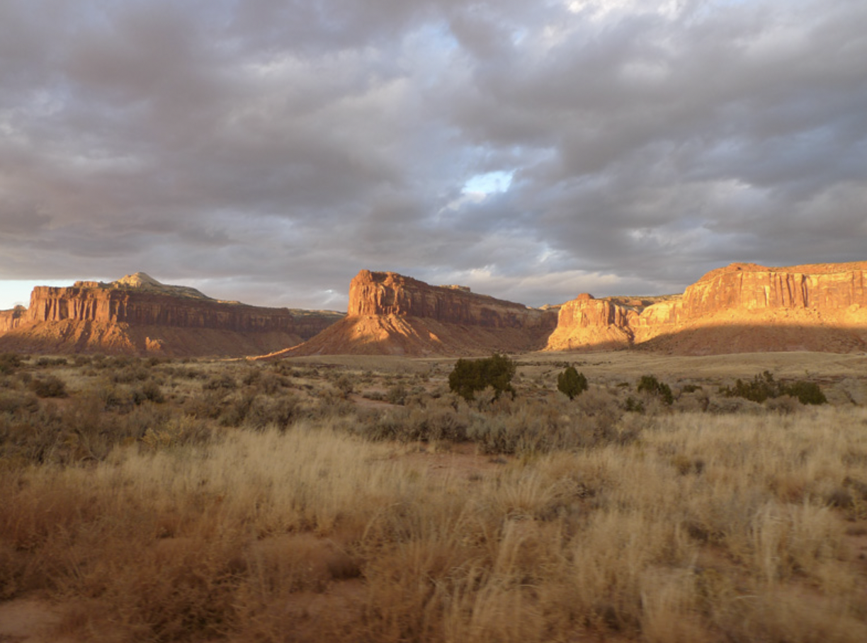 Screen Shot 2024-02-11 at 12.02.04 PM.png