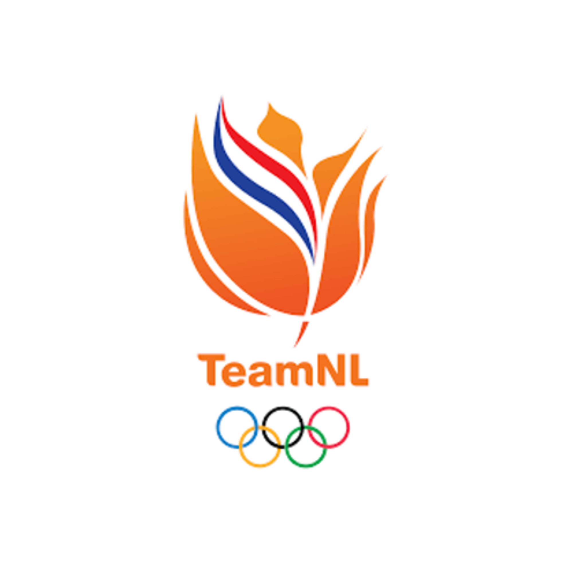 TeamNL logo2.png