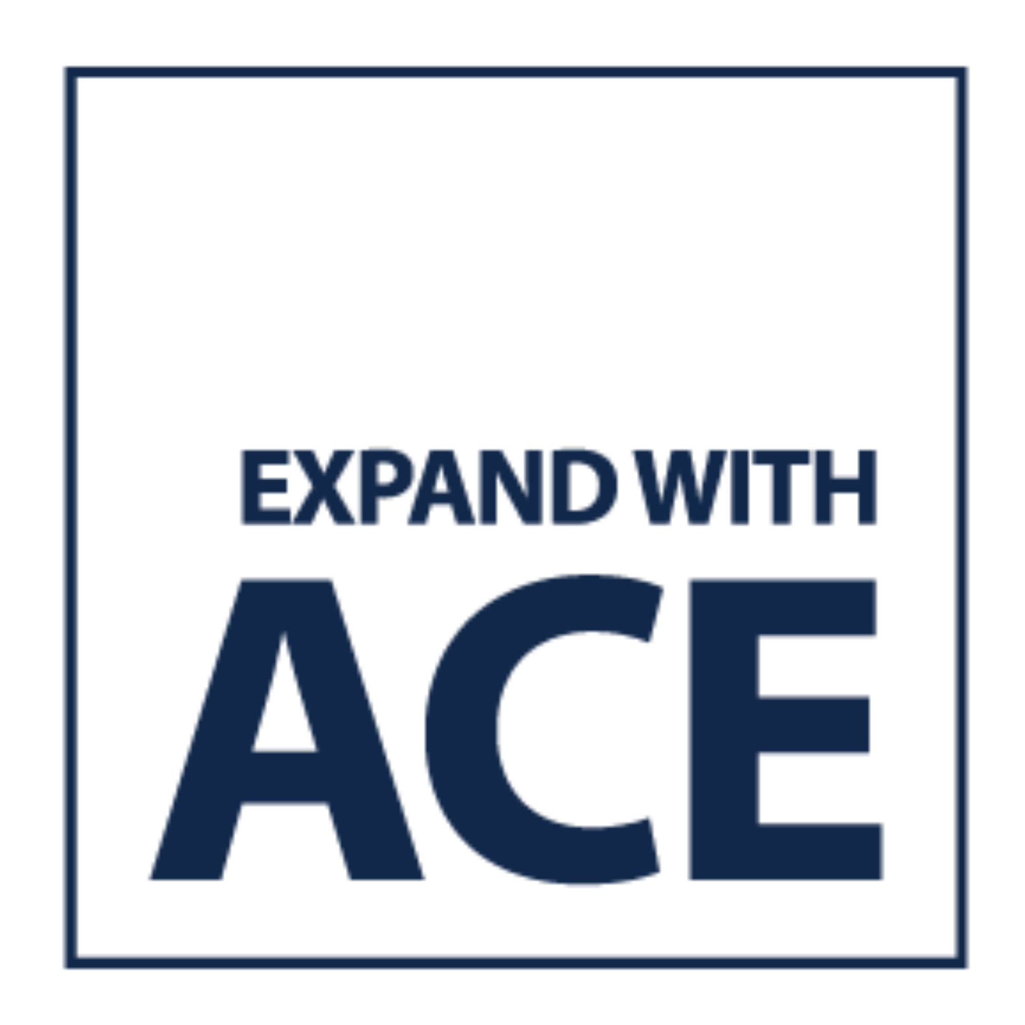 Ace Logopng.png