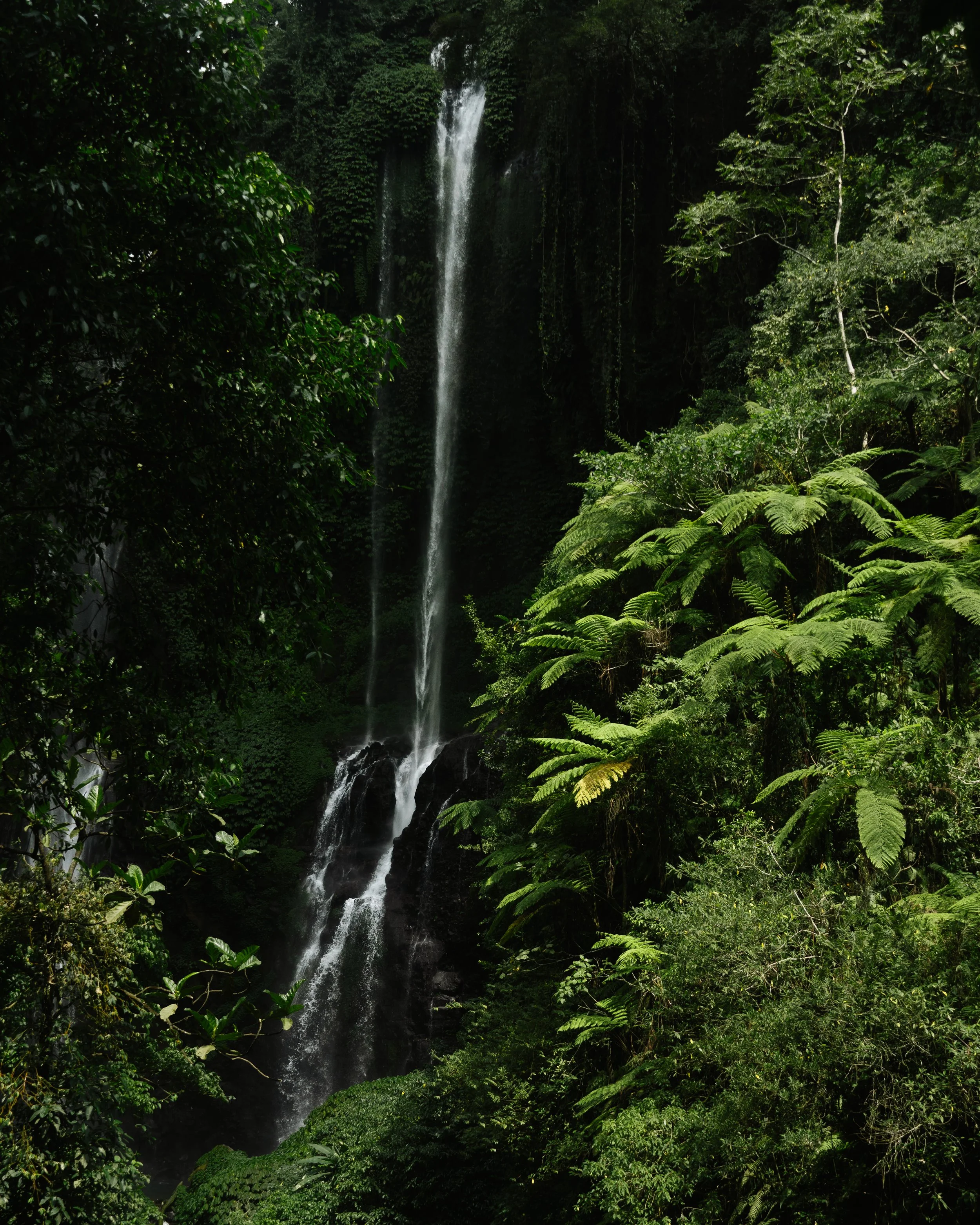DSC08753.JPG