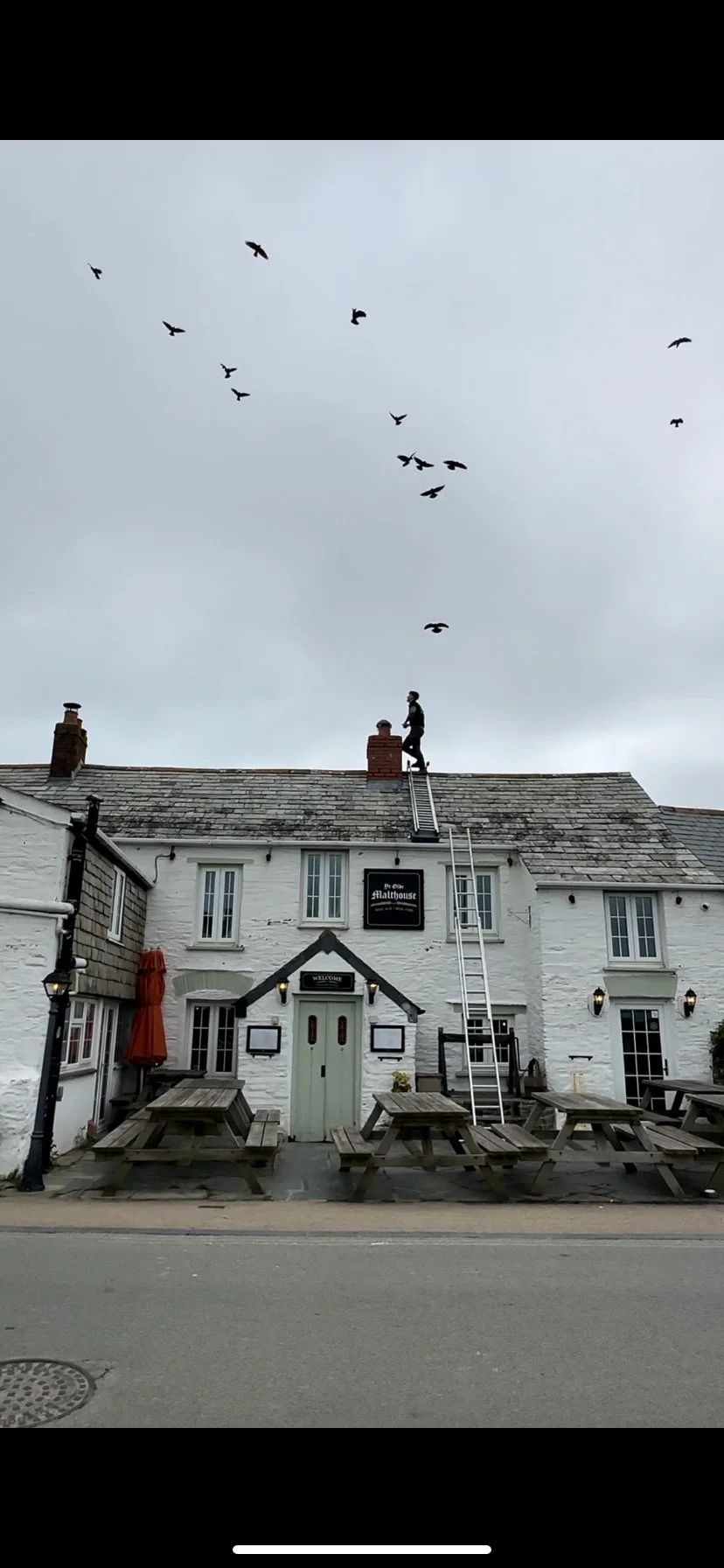 Adobe Express - file.jpg