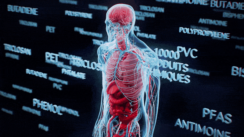 3D Elements & Animation