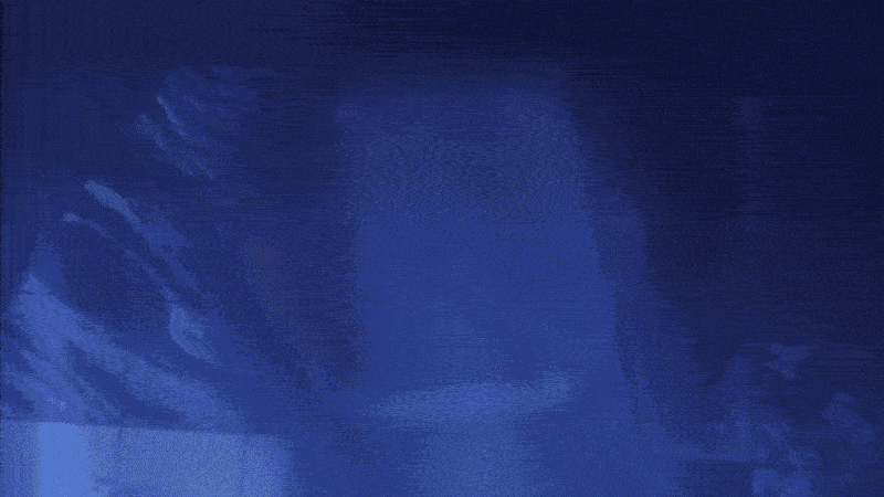 3D Elements & Animation