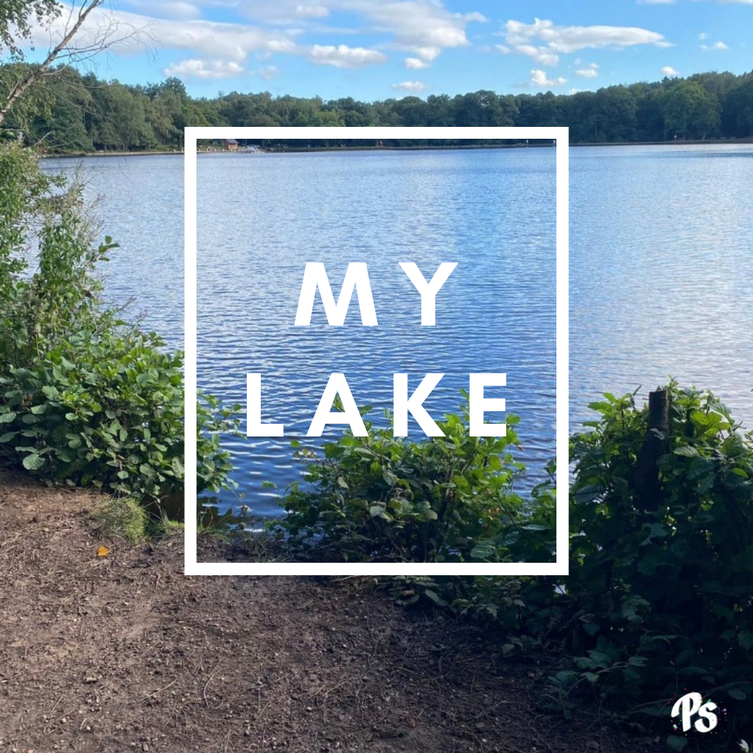 My Lake 1.png