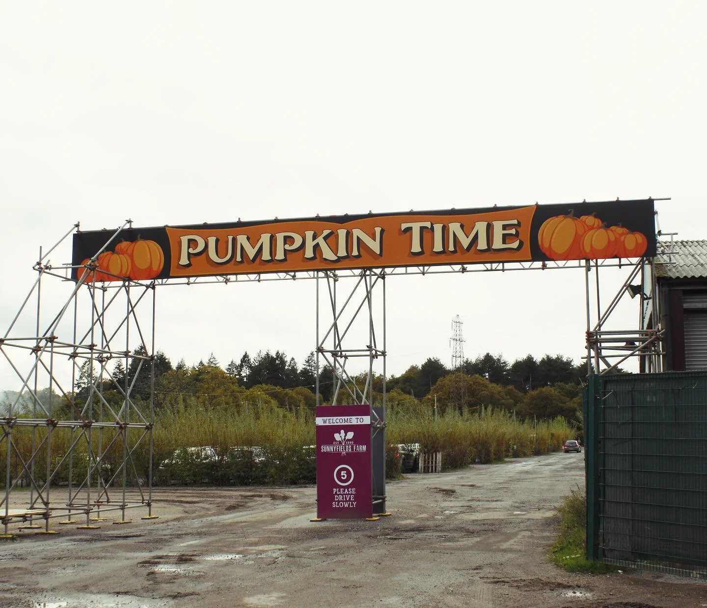 A rather large one painted for the entrance to Pumpkin Time this year, which was a lot of fun to draw up and paint 👌 

#pumpkintime #pumpkinpicking🎃 #handpaintedsigns #signpainting