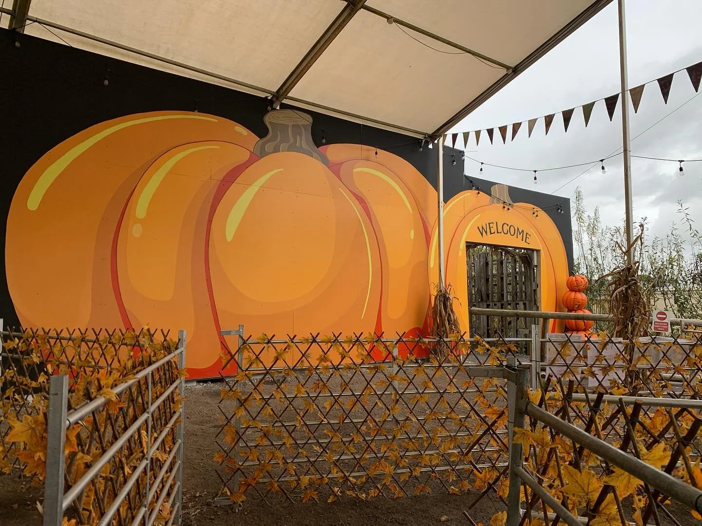 🎃A couple large ones painted along with some lettering at the entrance to Pumpkin Time.

#muralart #pumpkin #handpaintedsigns