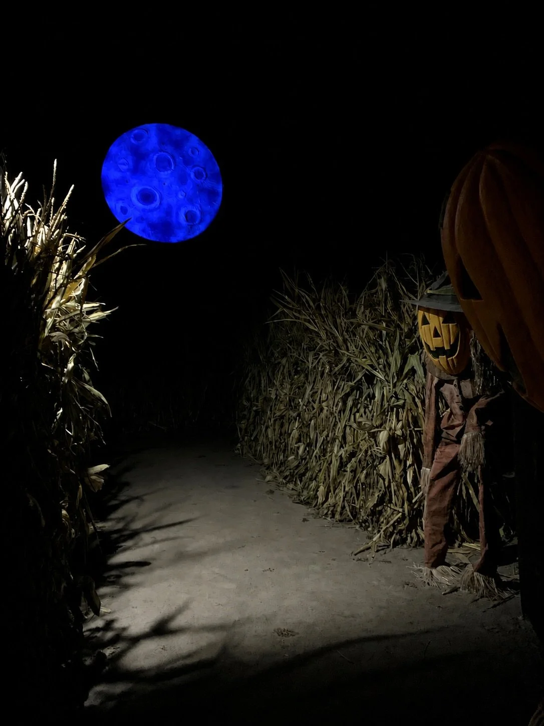 This is one of the immersive rooms at Pumpkin Time 2025 that I helped create, with each room being roughly 10m square by 5m high and fully blacked out. This room was the creepy maize field, where I wanted it to be lit mostly by moonlight. We used rea