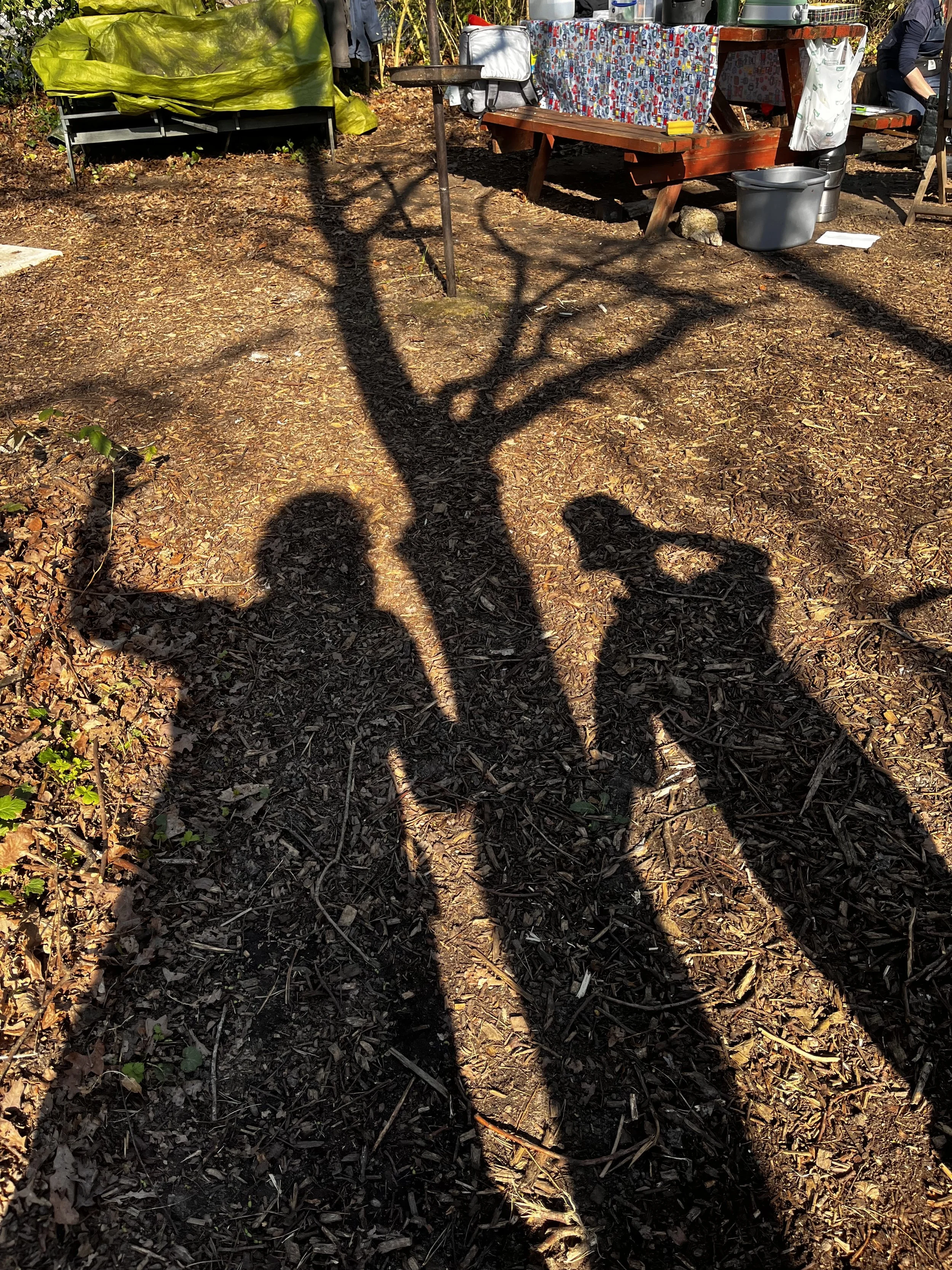 Shadows of teacher and pupil at forest school