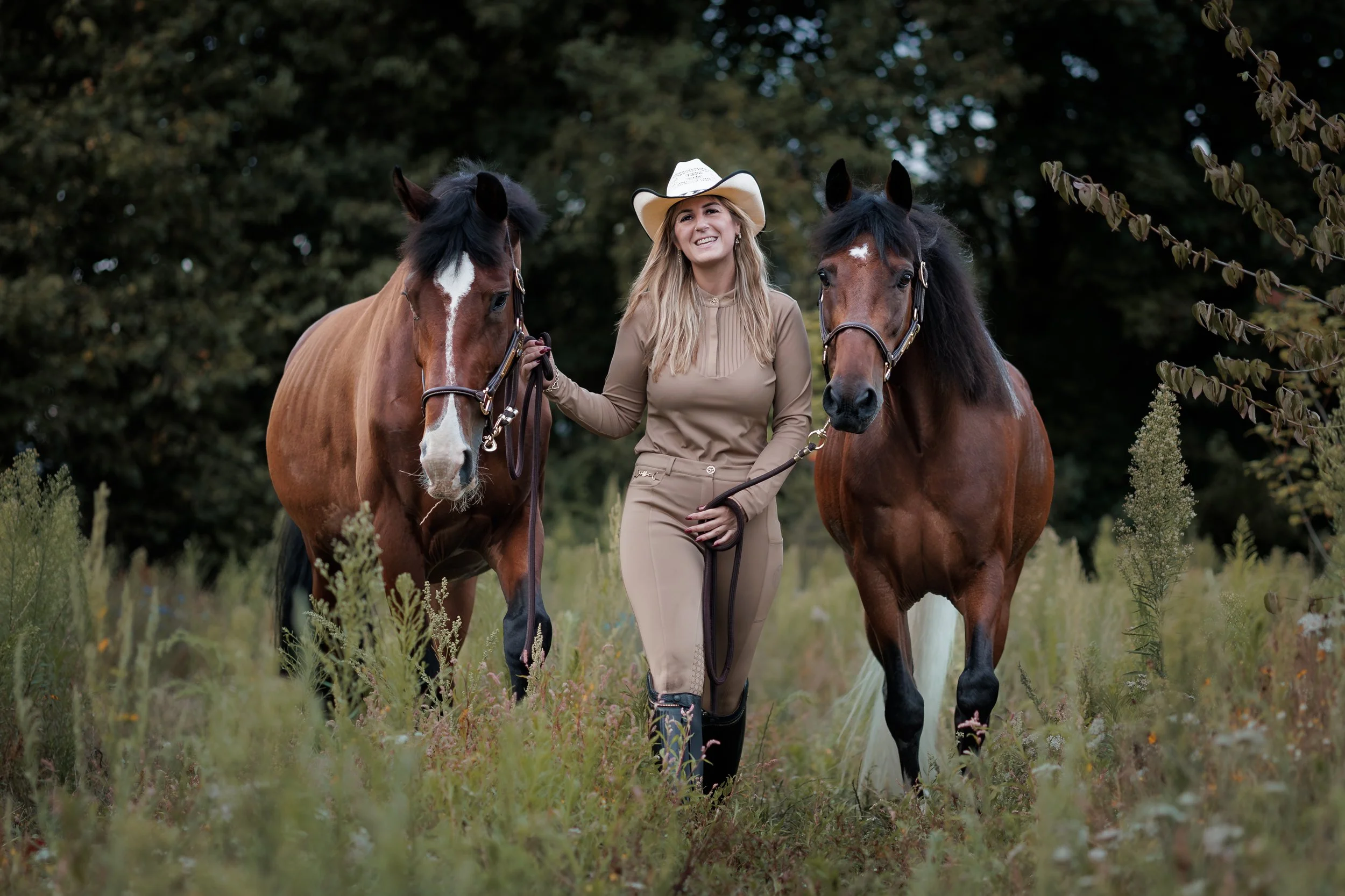 2025-07 - St. Willebrord - Paarden (8).jpg