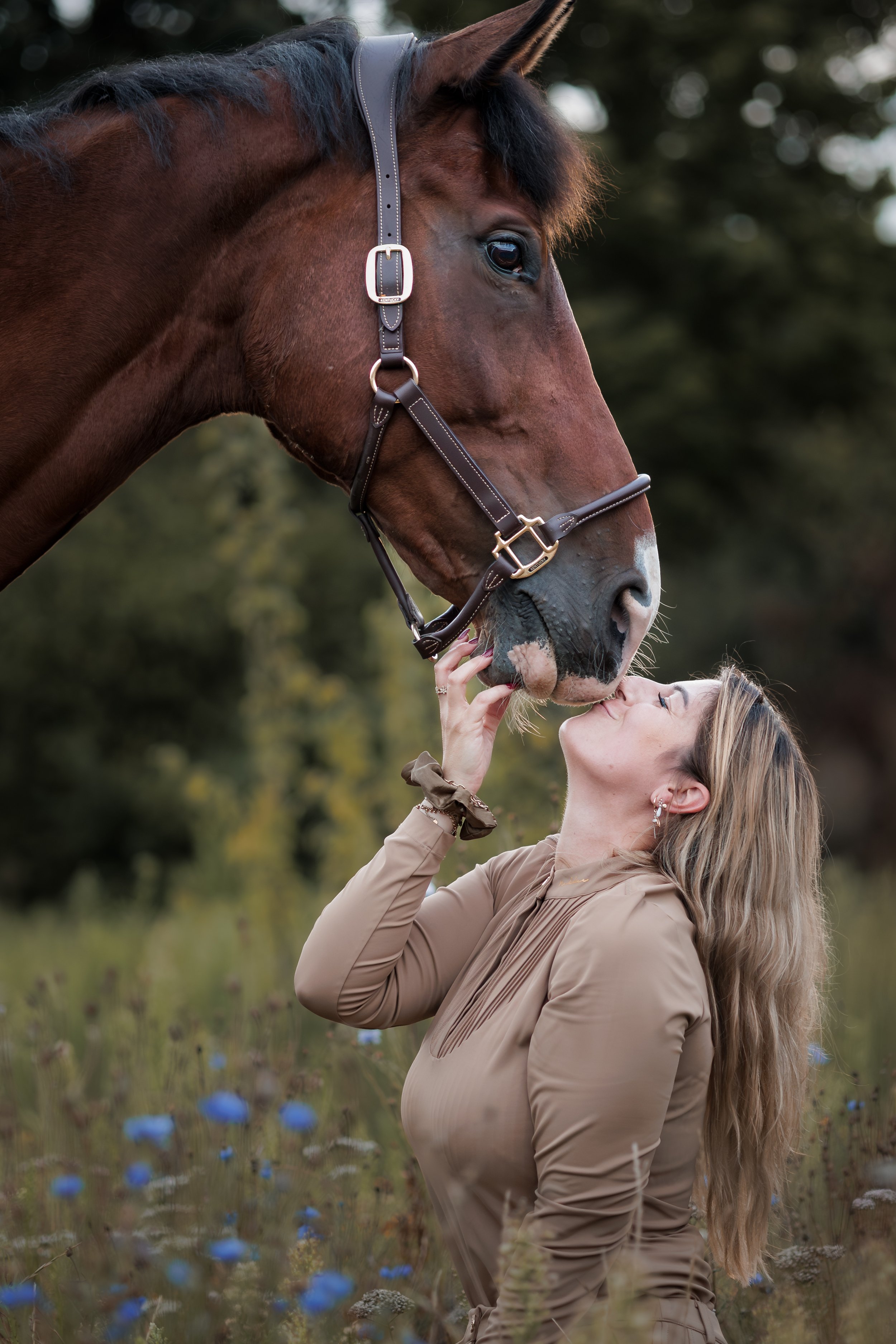2025-07 - St. Willebrord - Paarden (11).jpg