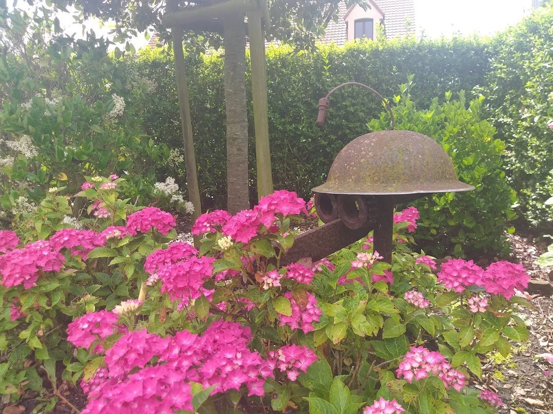 12 tuin hortensias.jpg