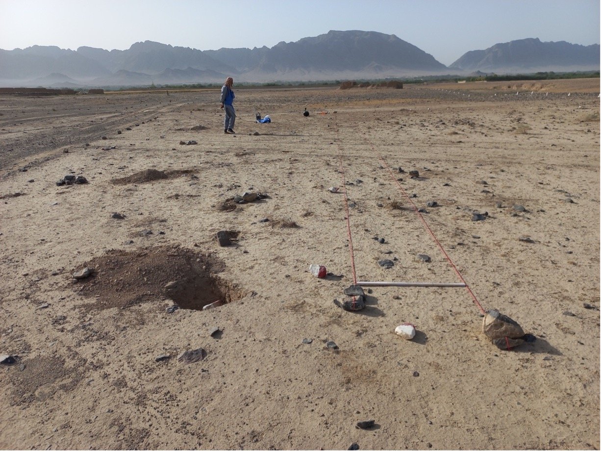  A lone figure methodically surveys a vast, open landscape, marking suspected areas with red flags, demonstrating the meticulous fieldwork involved in UXO detection and area clearance. 