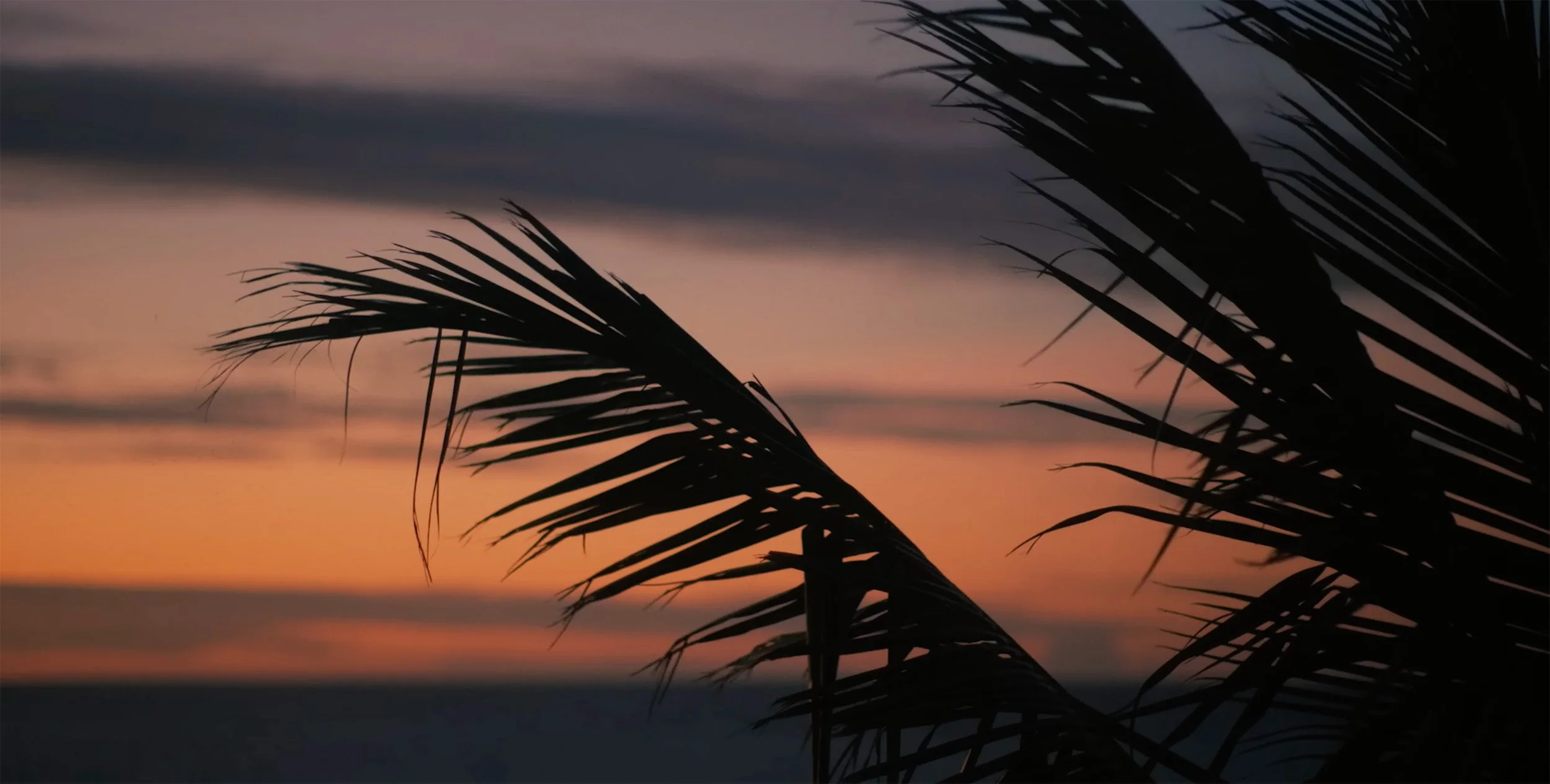 Discover The Allure Of Grace Bay Beach Your Checklist For Turks Caicos Bliss - w991tgw