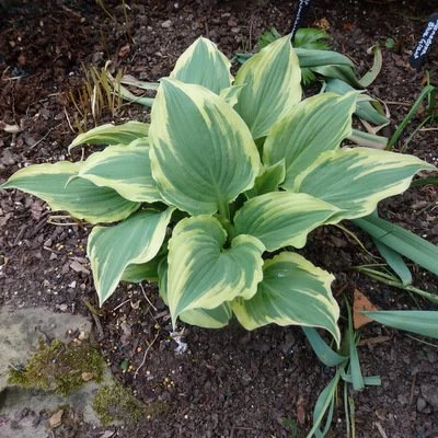 Lakeside Kaleidoscope (7).JPG