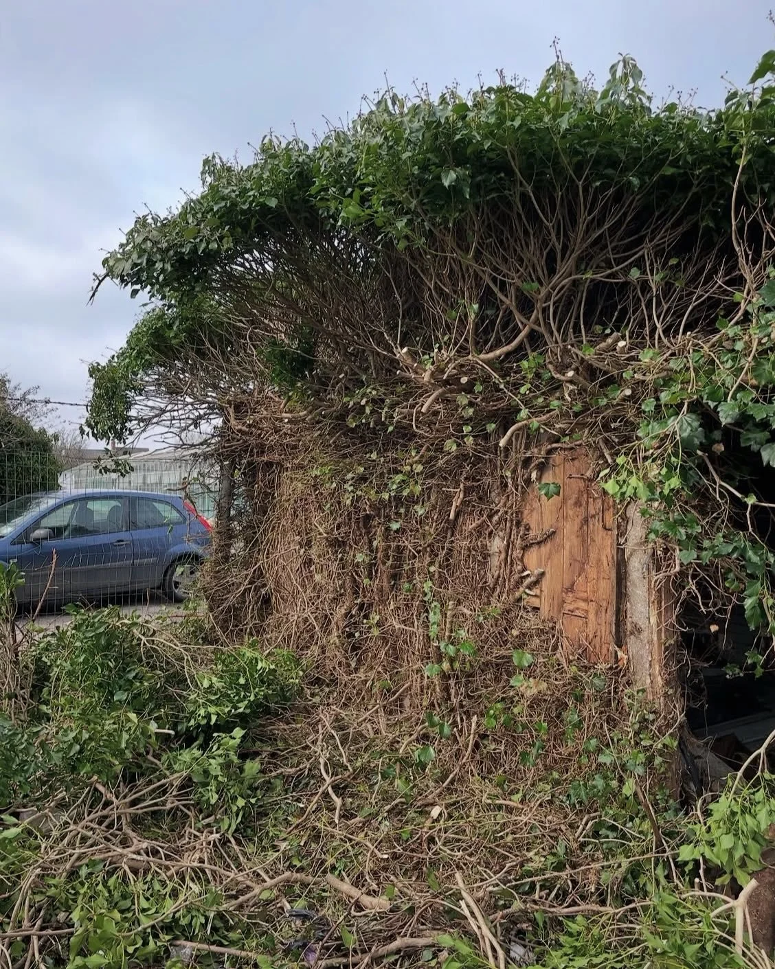 Garage throw back. Swipe to see a lovely potting shed.