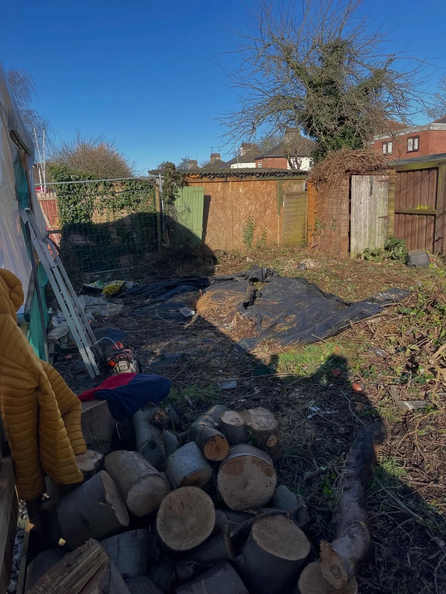 Clearing some more dangerous trees. Don&rsquo;t want these falling on the tunnels. Rotten and covered in dead ivy. A busy week ahead prepping for Spring.