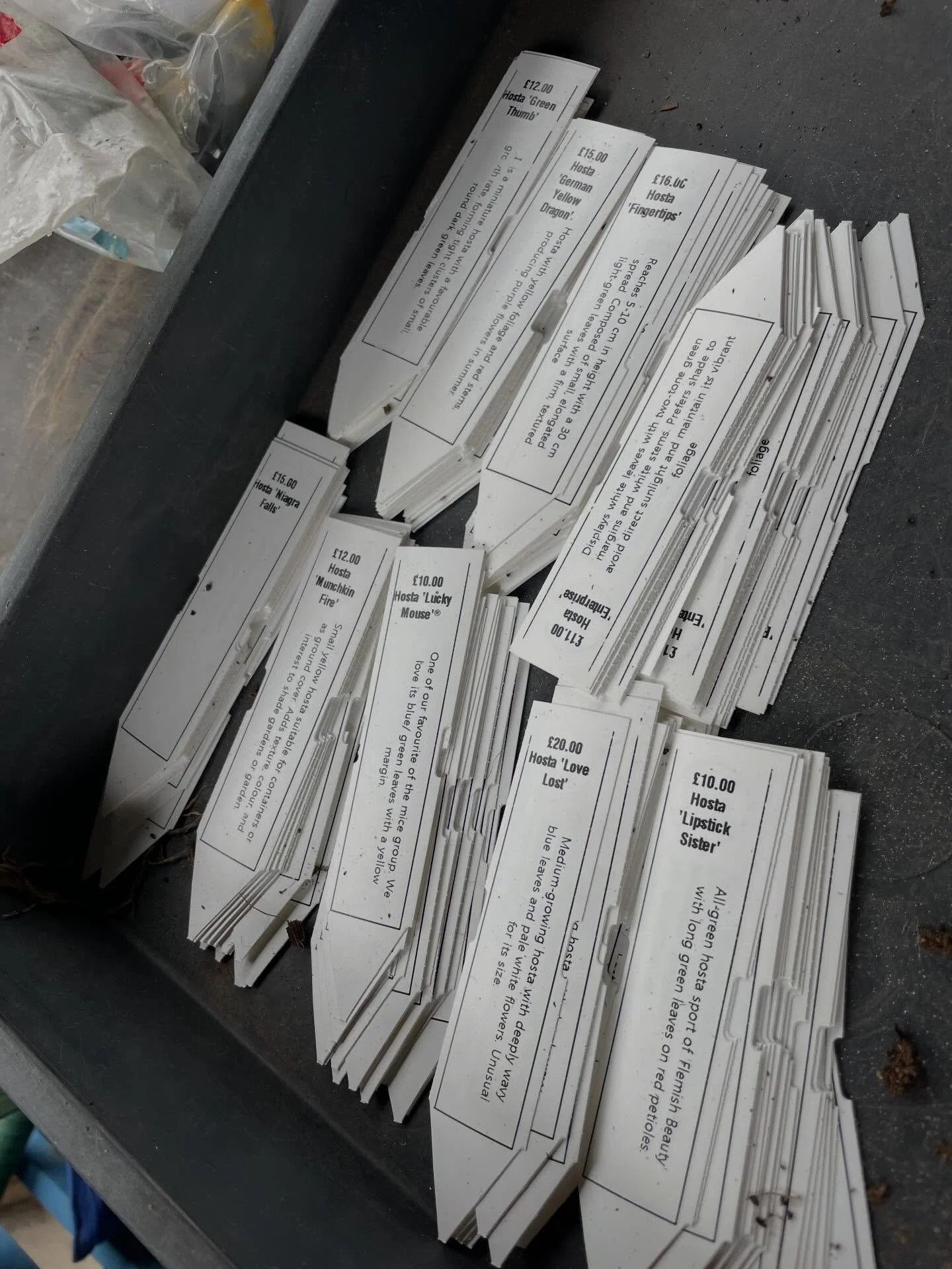 Busy busy day. We had a lovely visit from Joyce and Marco Fransen who brought us this year&rsquo;s plants.