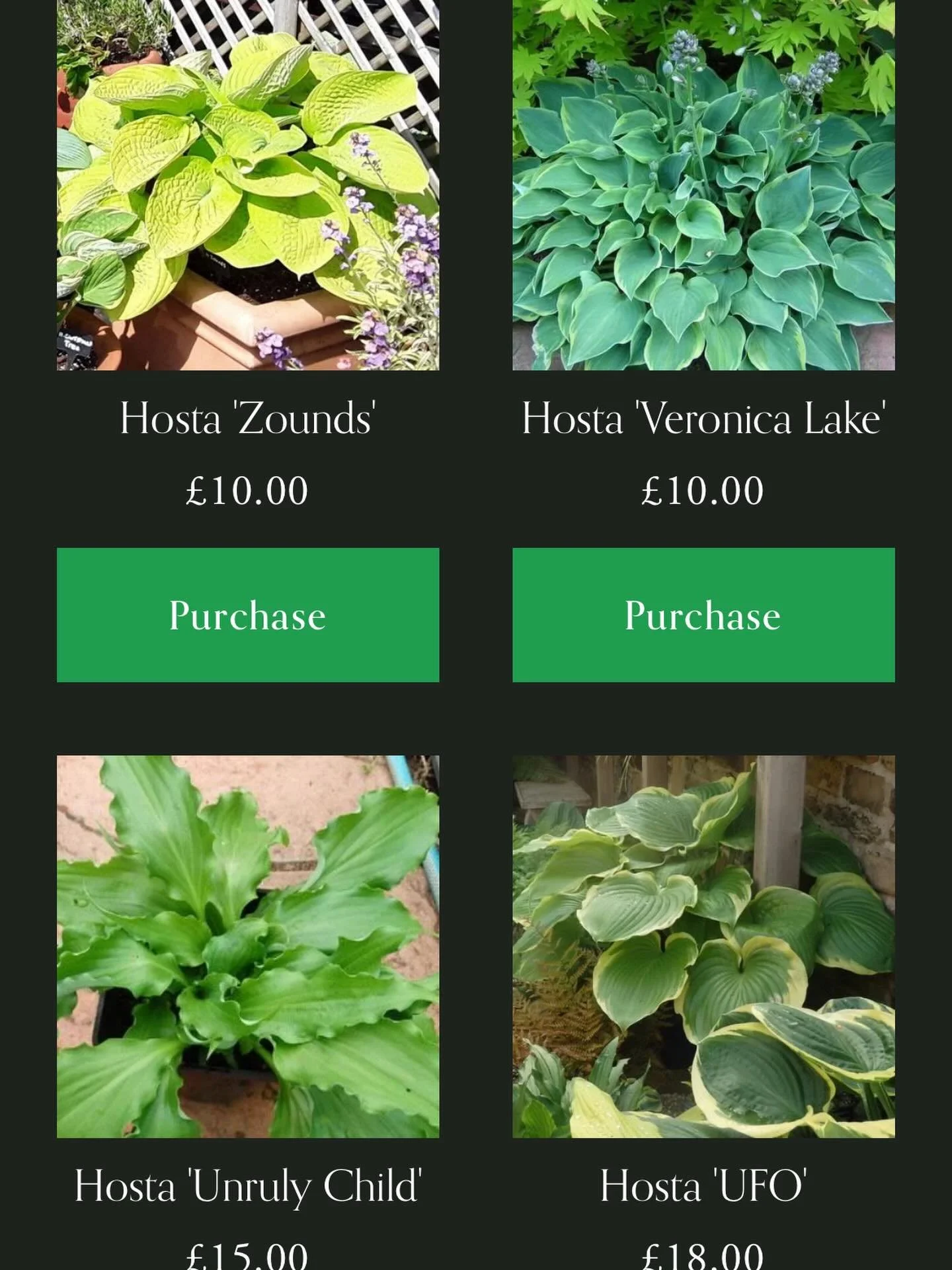 Have you seen we&rsquo;ve now got 250 varieties for sale. 

We&rsquo;ve been working hard to bring you the very best.

And I&rsquo;m sure we will have more to add as the season progresses. 

www.sjhosta.uk