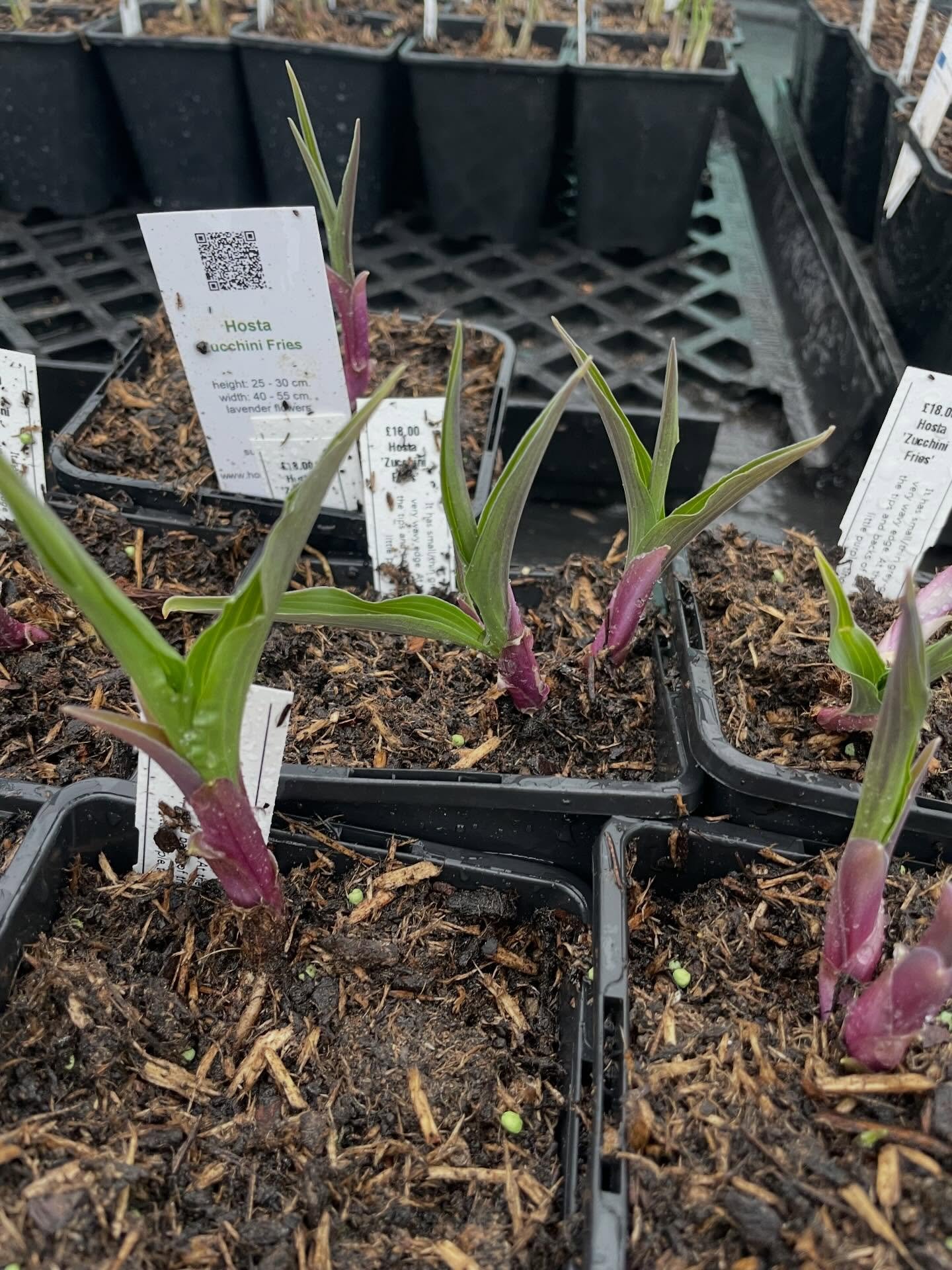 Something exciting is about to happen!!!!