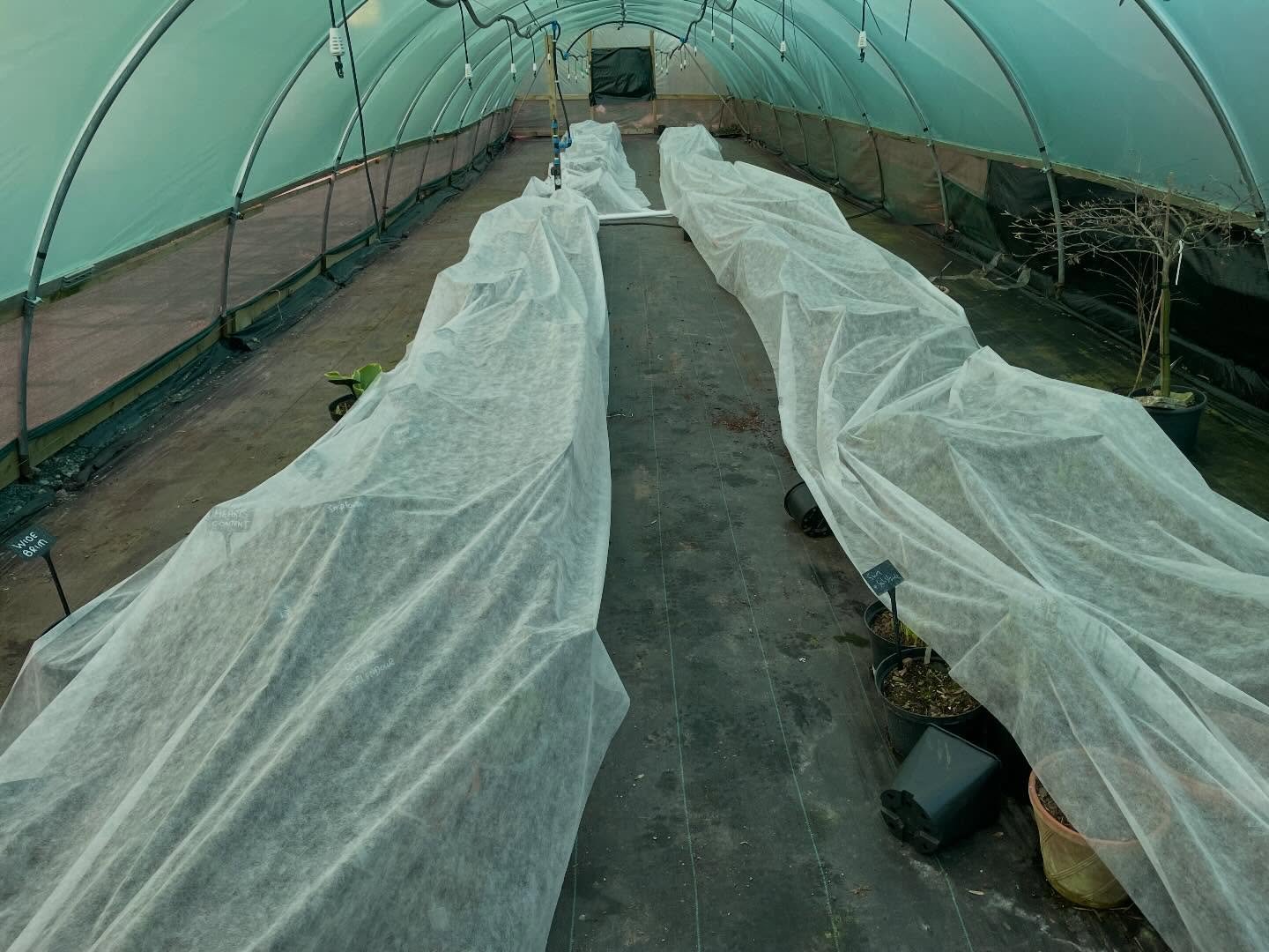 Tucked up waiting for brighter and warmer days.