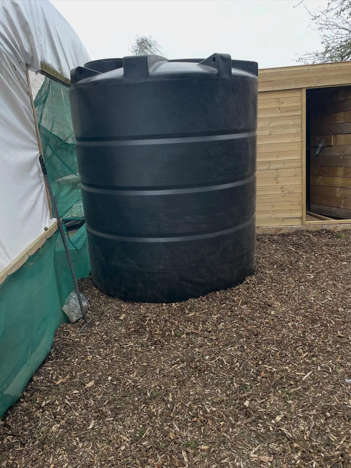 Big tank delivery yesterday.