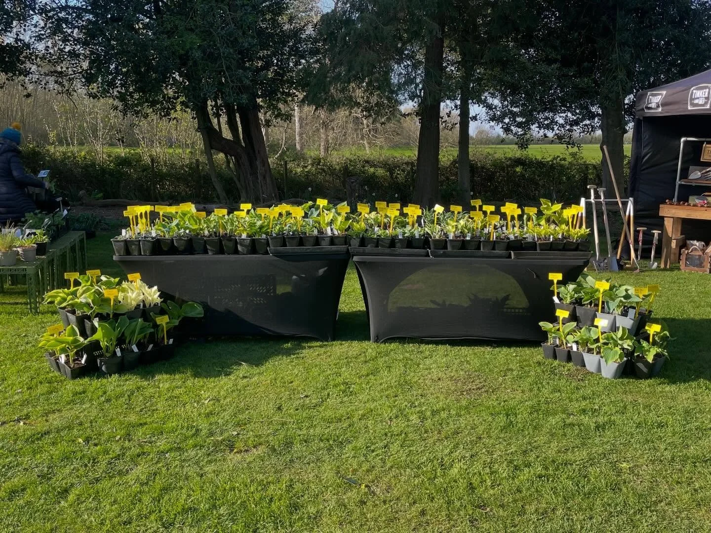 Home after the first show of the season at @middletonhallgardens. Beautiful venue and lovely to meet all you hosta fanatics. Just shame about the weather, but you can&rsquo;t have everything.