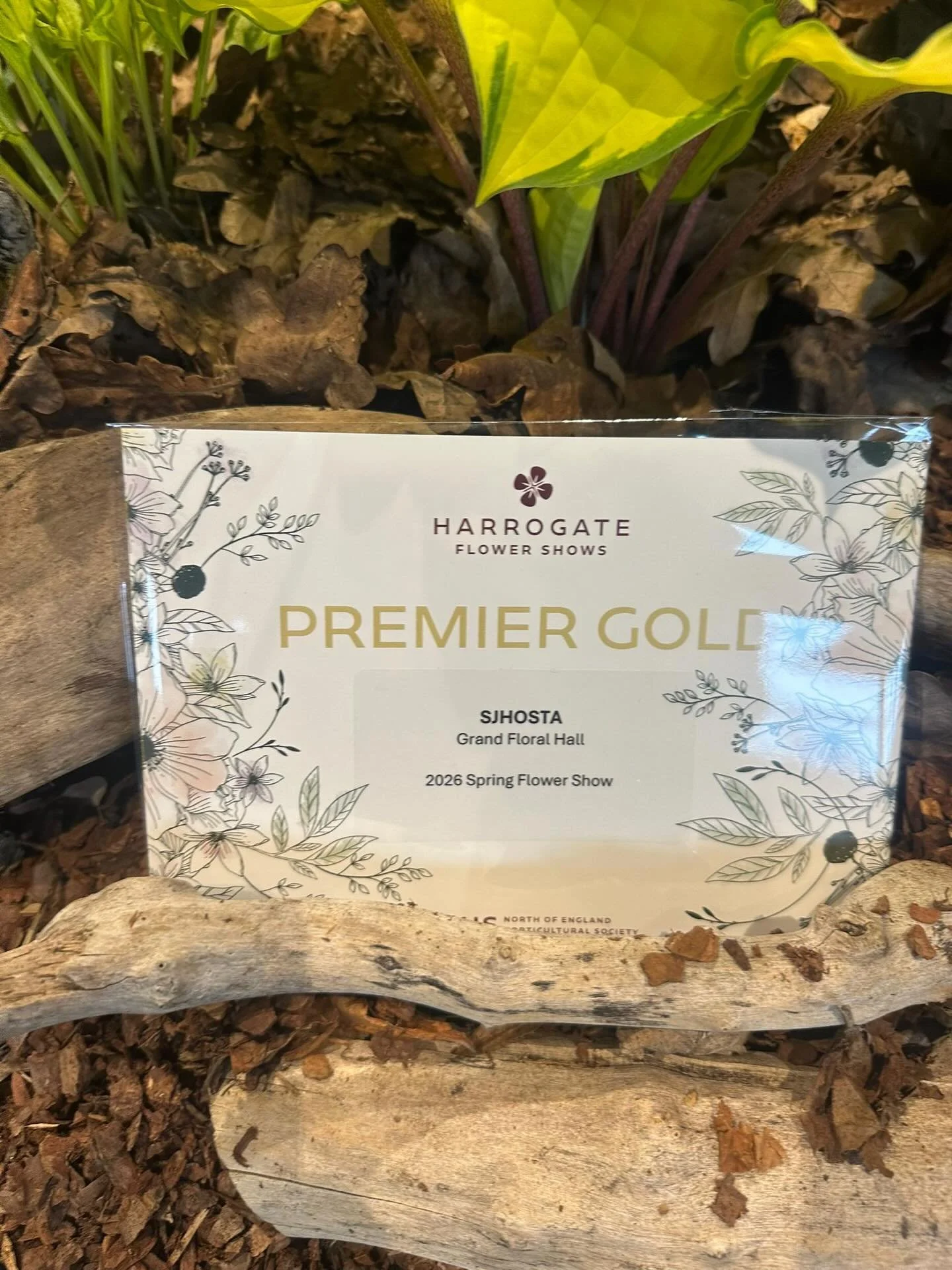 Some exciting news this morning. Check this out. So grateful for all the help and support everyone has given me to get to this point.