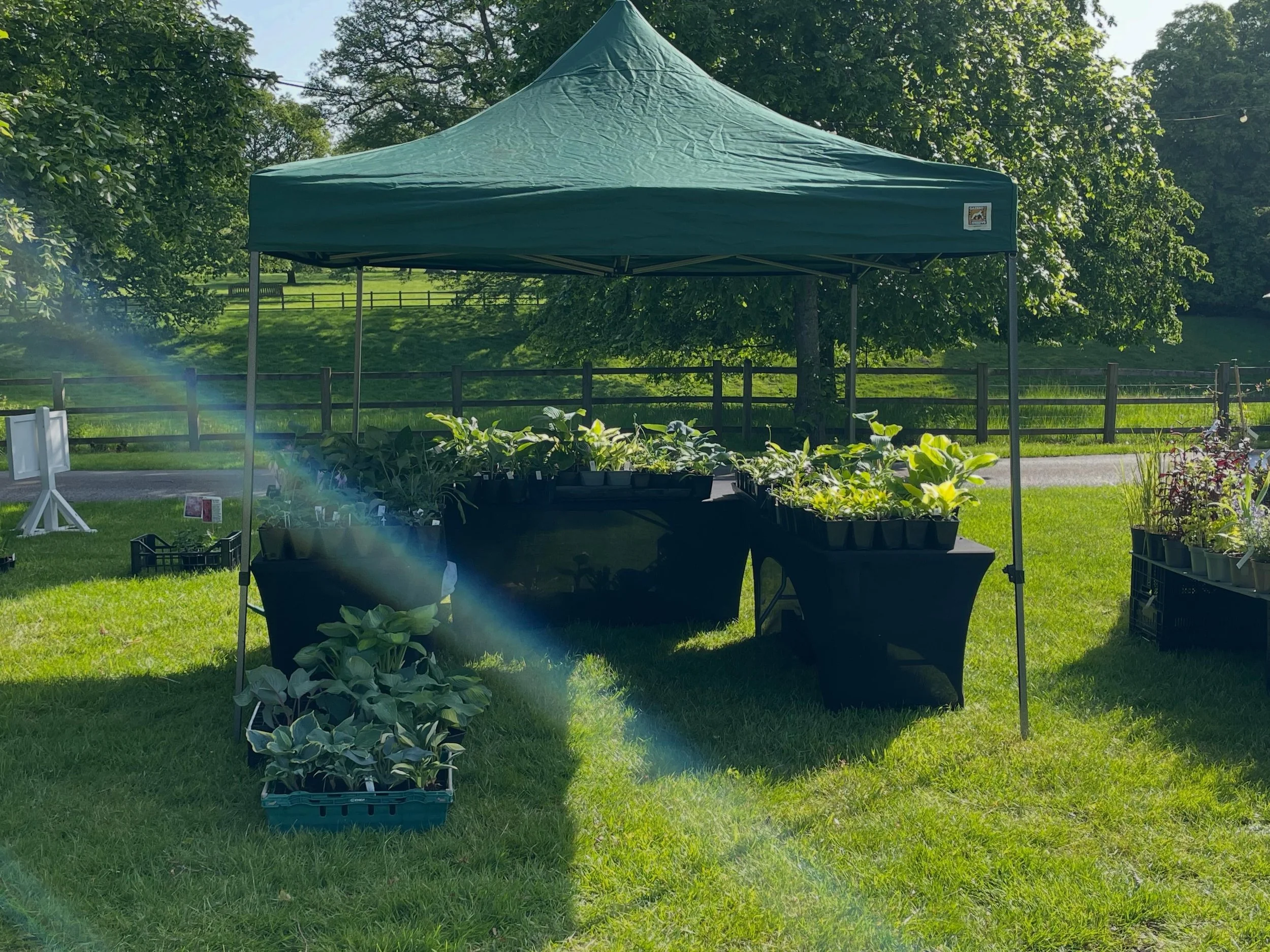 It&rsquo;s going to be a warm one. We are at Arley Arboretum &amp; Gardens plant fair today. Come and visit if you are in the area.