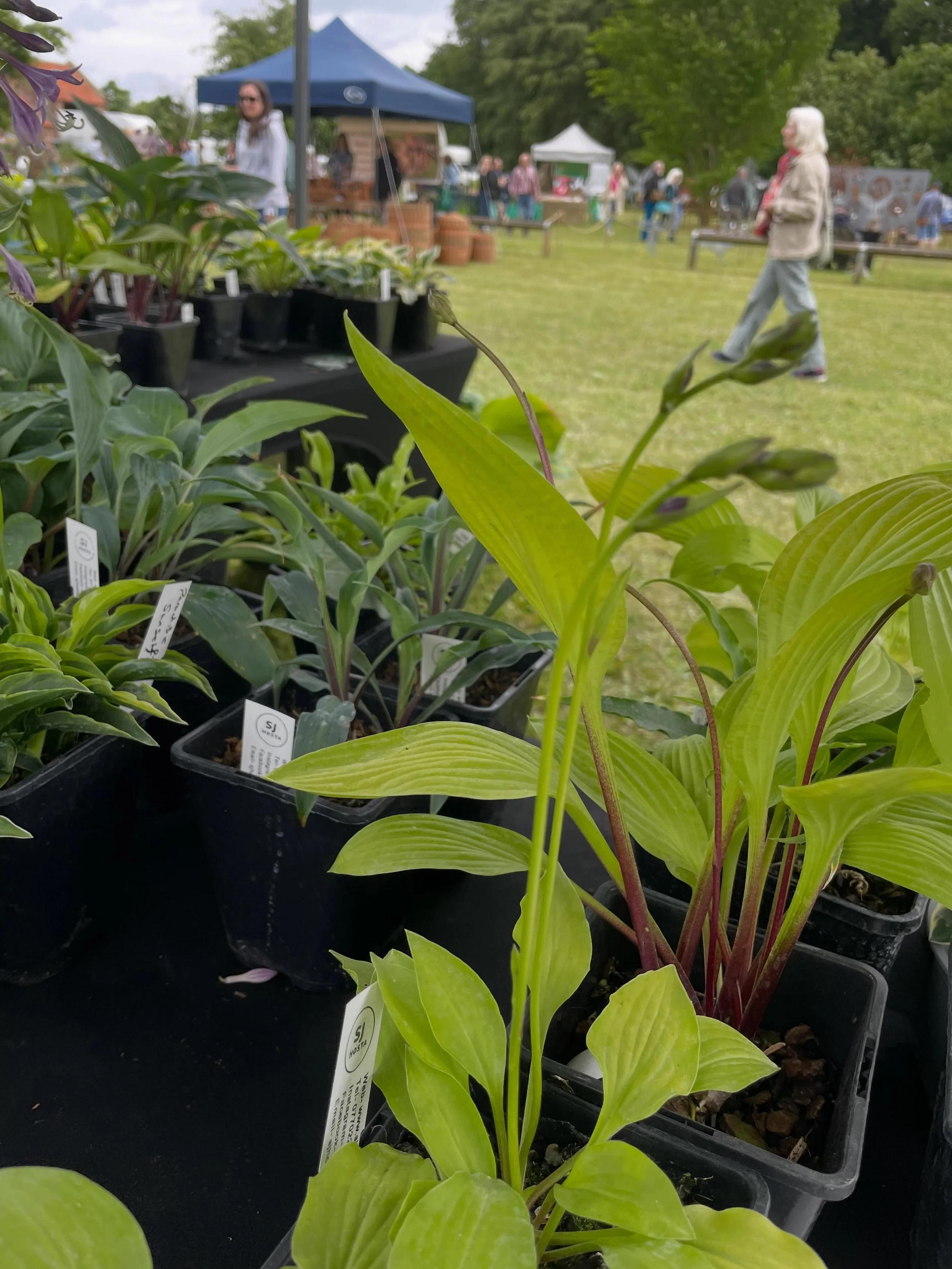 Busy day @scampston plant fair. Lovely to meet you all!!