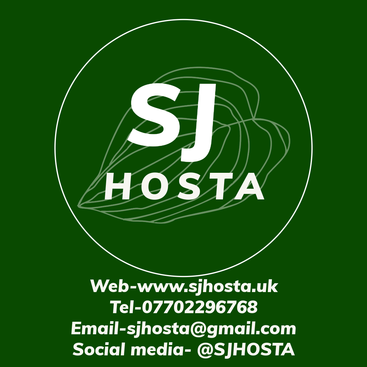 Hosta 'Hearts Content'