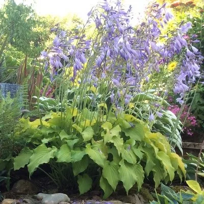 Marrakech July (2).JPG