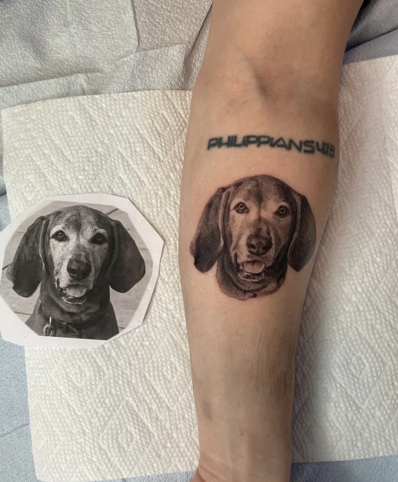 Pet tattoo portrait, Philadelphia