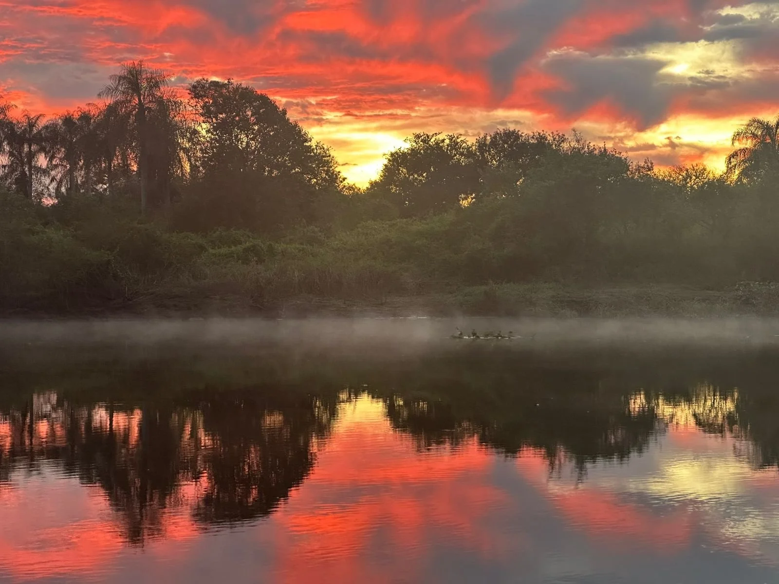 WhatsApp Image 2025-07-25 at 11.50.28 AM.jpeg