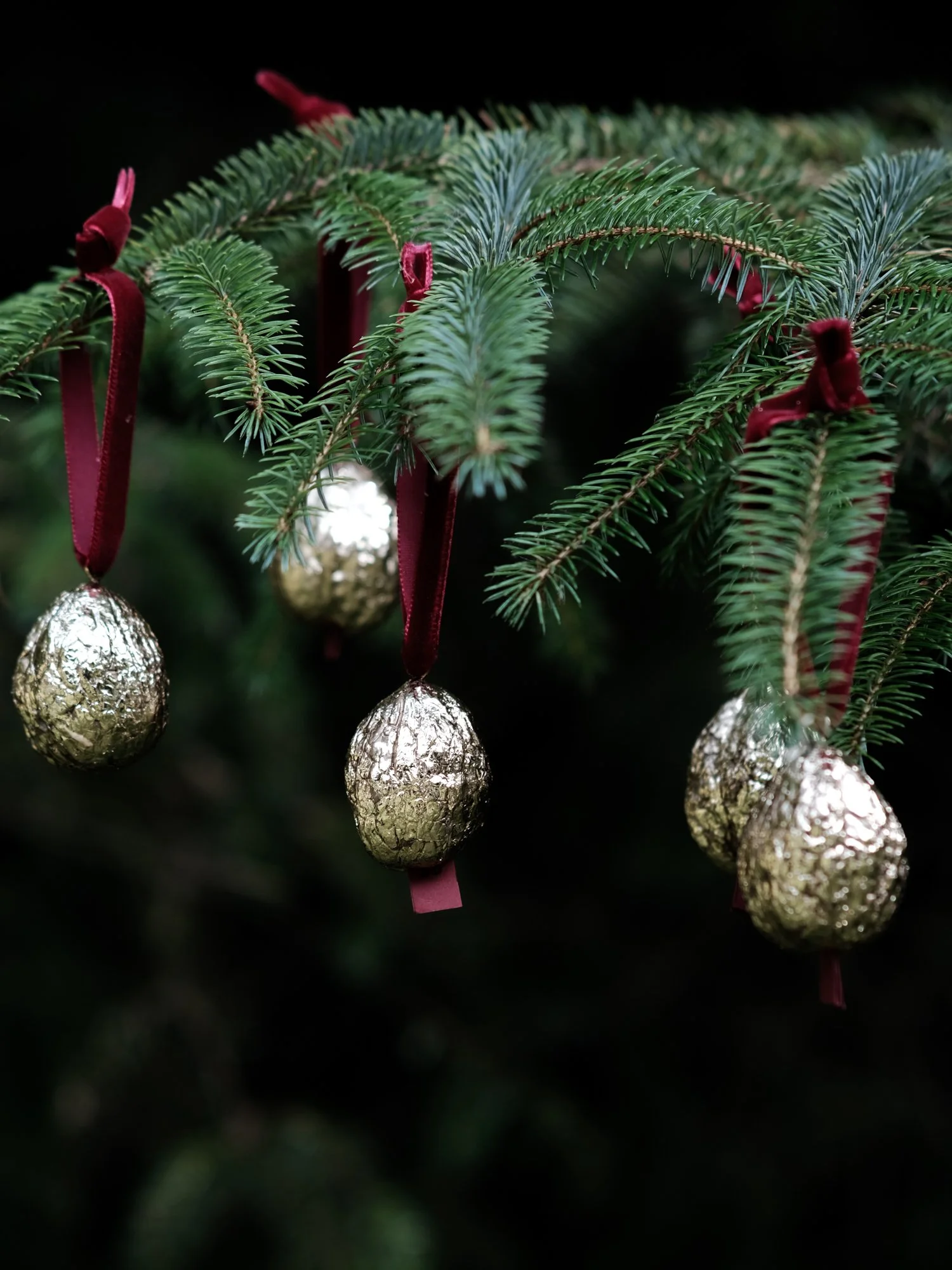 Gilded Christmas Walnut Wishes (4).jpg