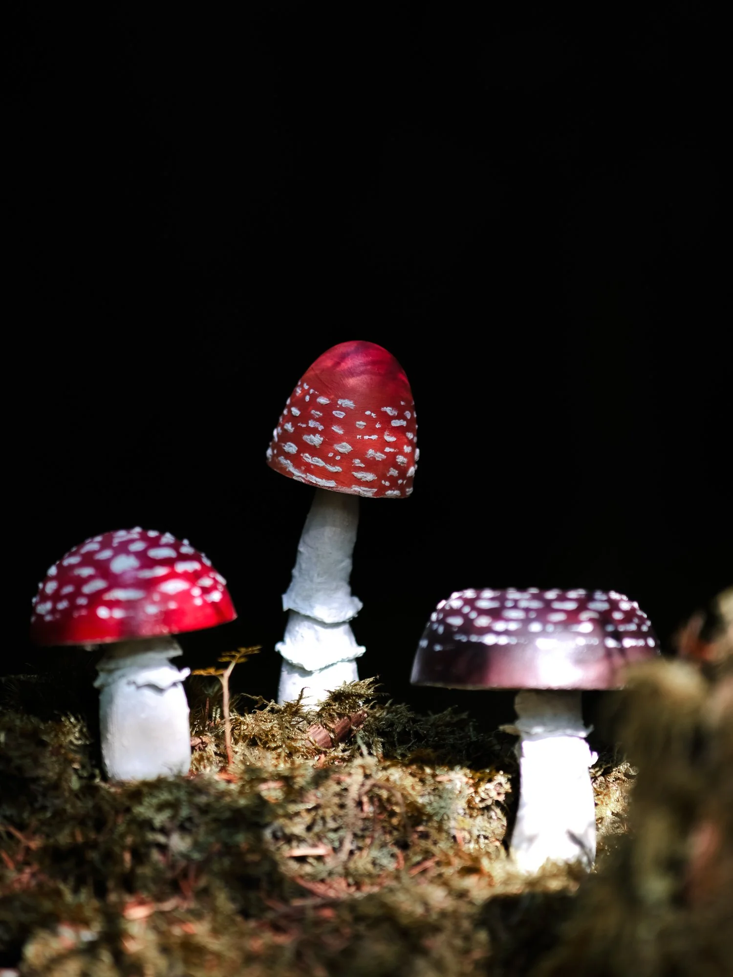 Magical Hand Painted Woodland Wooden Toadstools