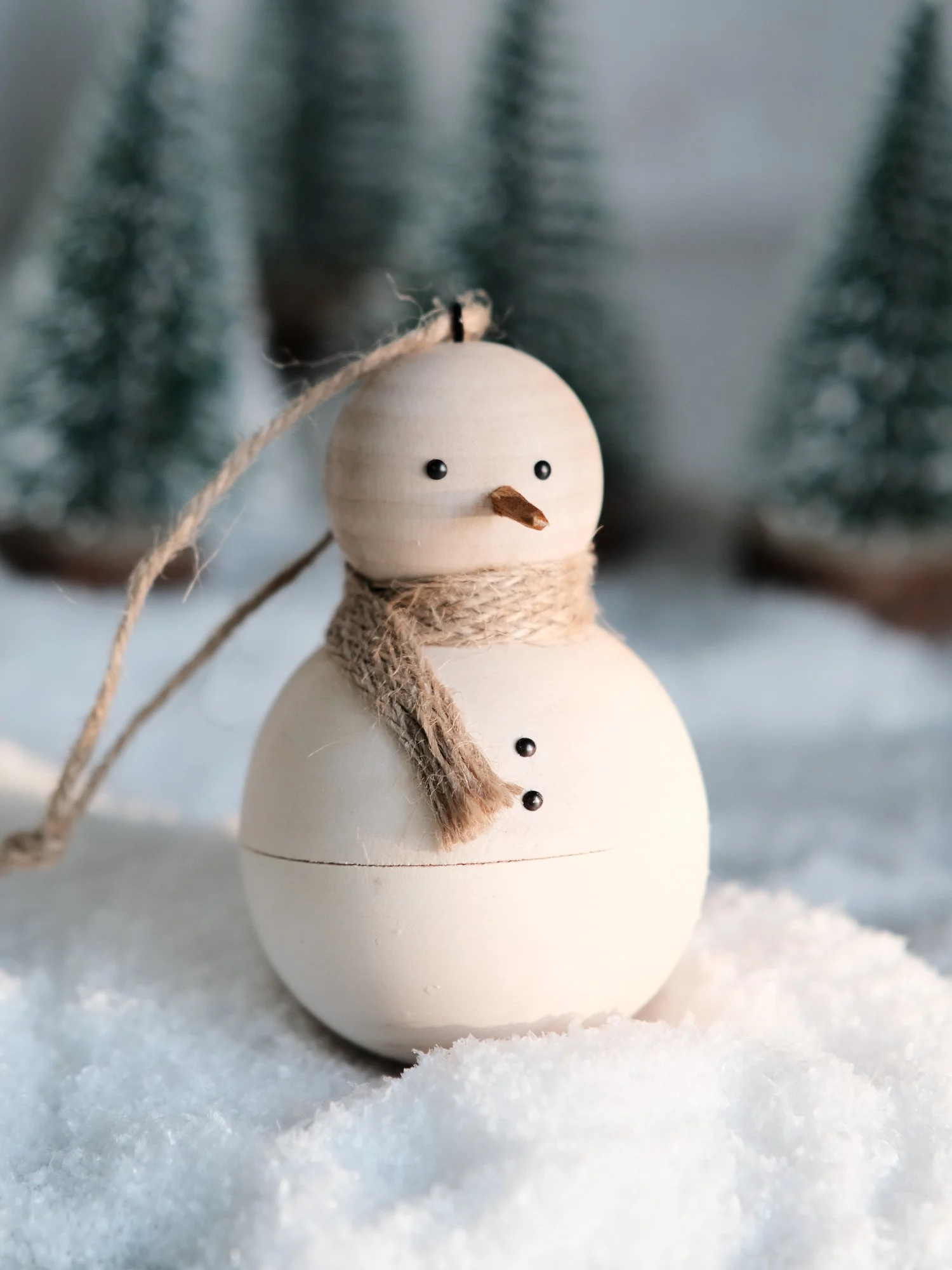Secret Snowman (6 of 6).jpg