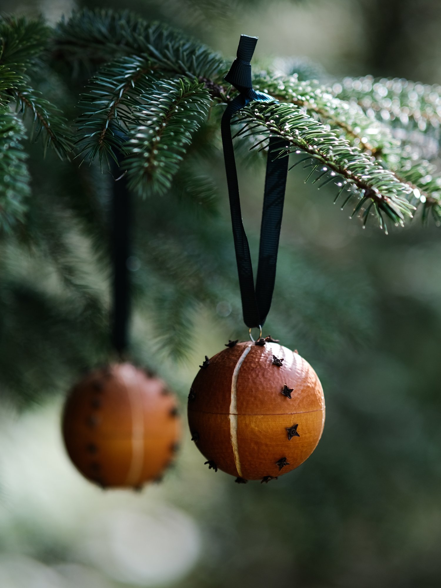 Handcrafted orange and clove scented pomander bauble hanging from a fir Christmas tree, surrounded by soft green foliage and warm natural tones.