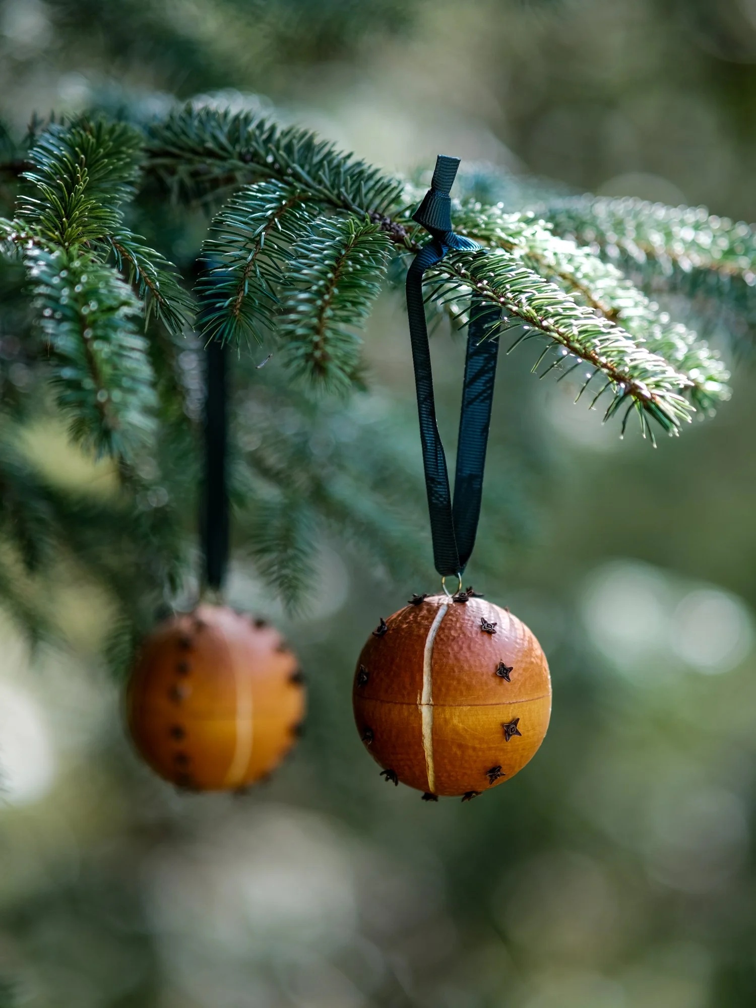 Handcrafted orange and clove scented pomander bauble hanging from a fir Christmas tree, surrounded by soft green foliage and warm natural tones.