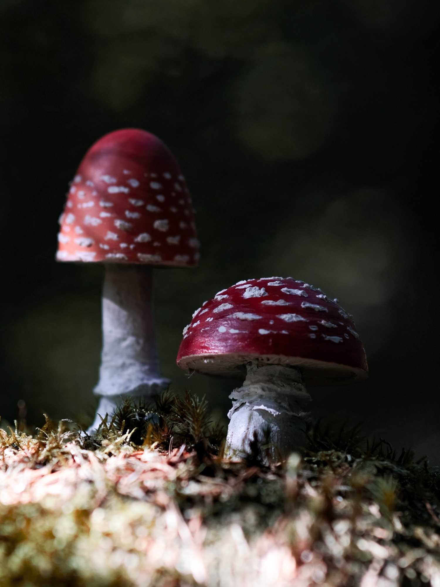 Handmade wooden toadstools and mushroom decorations inspired by enchanted woodland walks