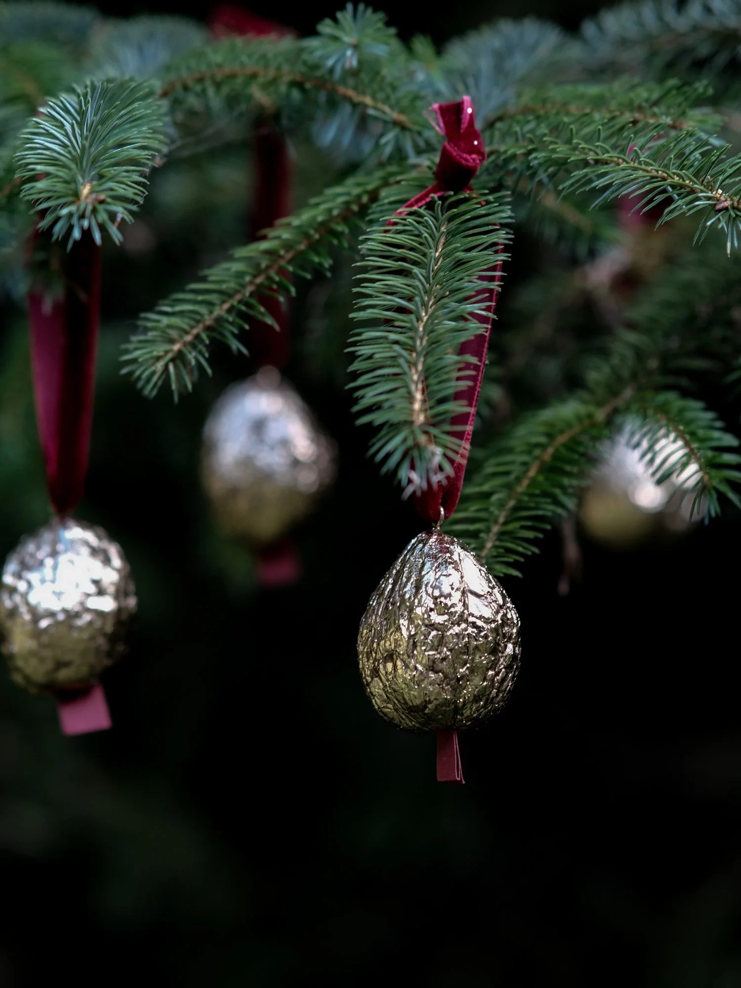 Gilded Christmas Walnut Wishes (1).jpg