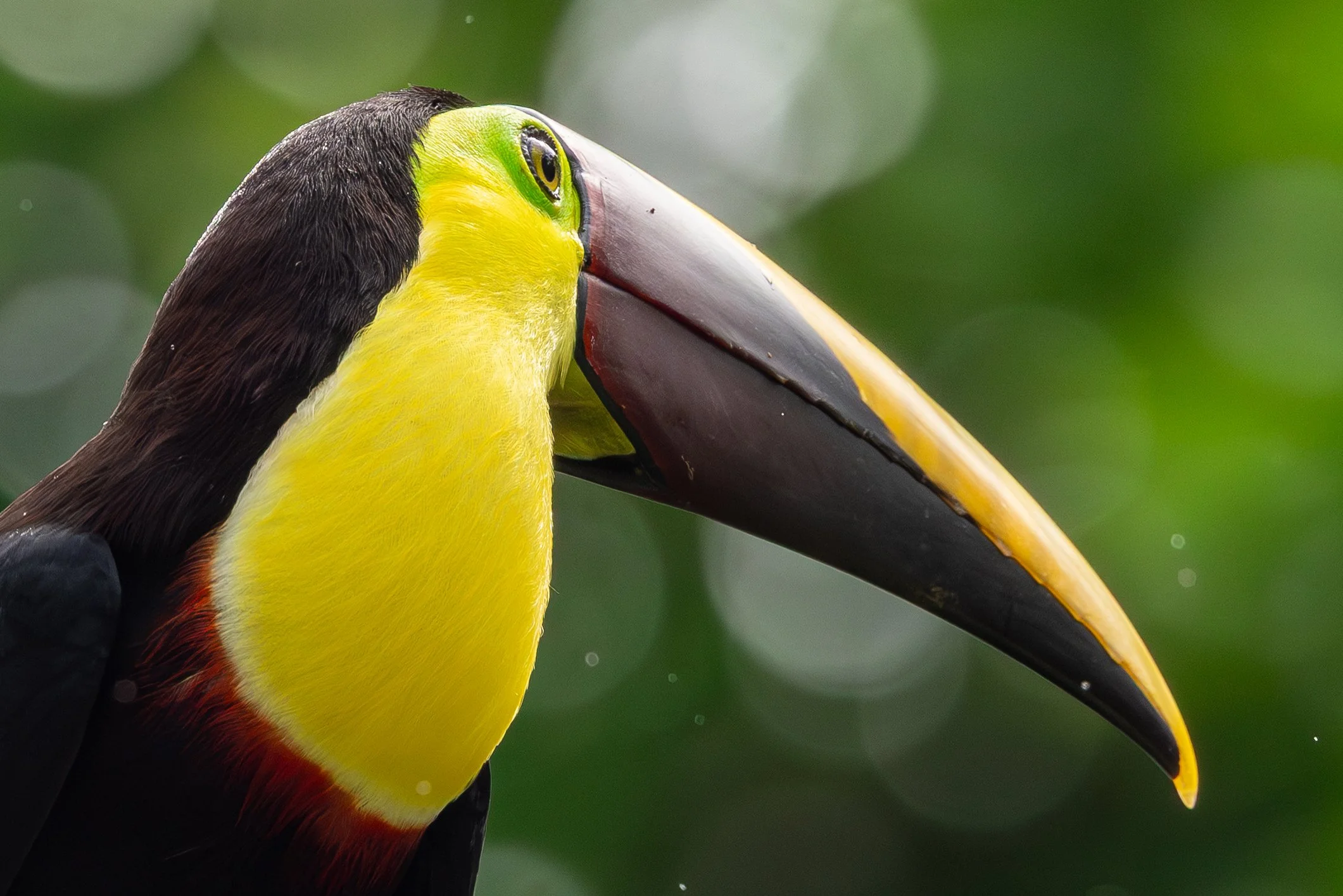 2027 Costa Rica | September 18-25th