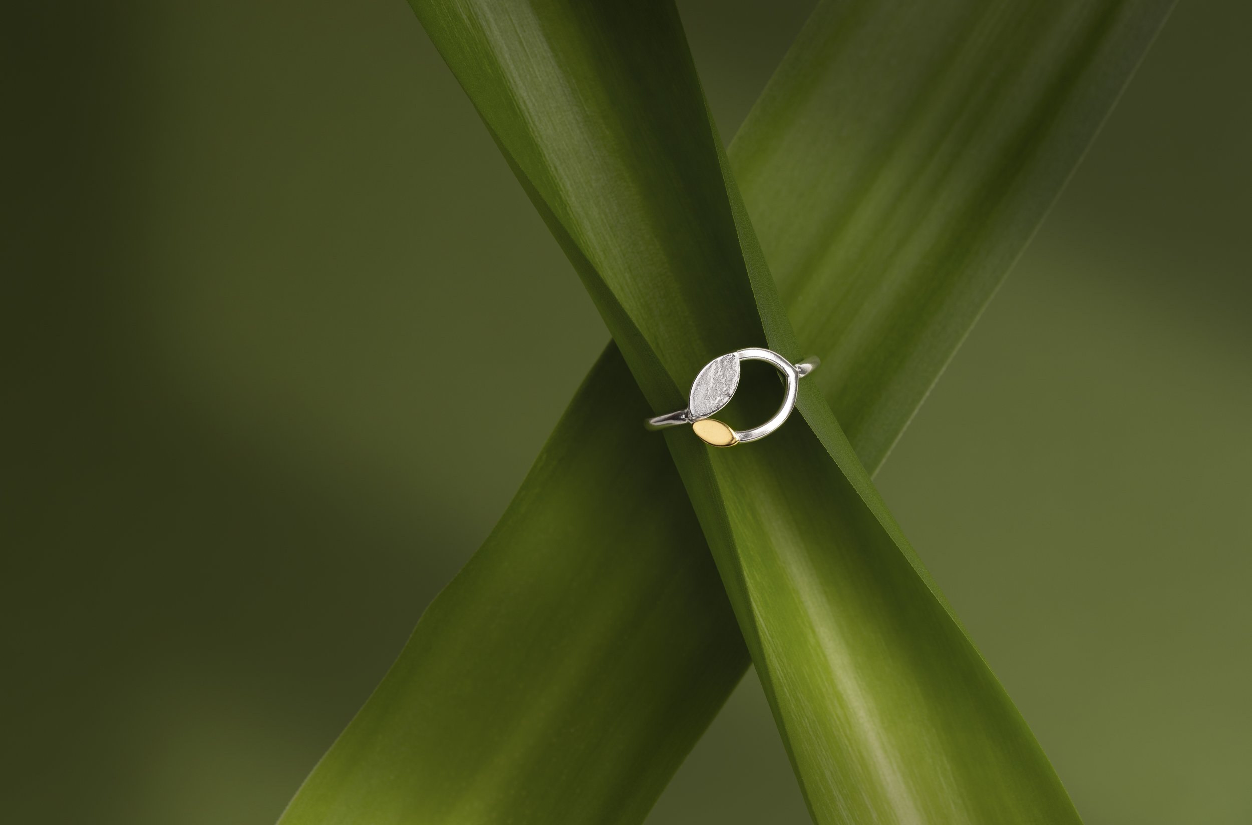 Silver ring with leaf design on green leaves