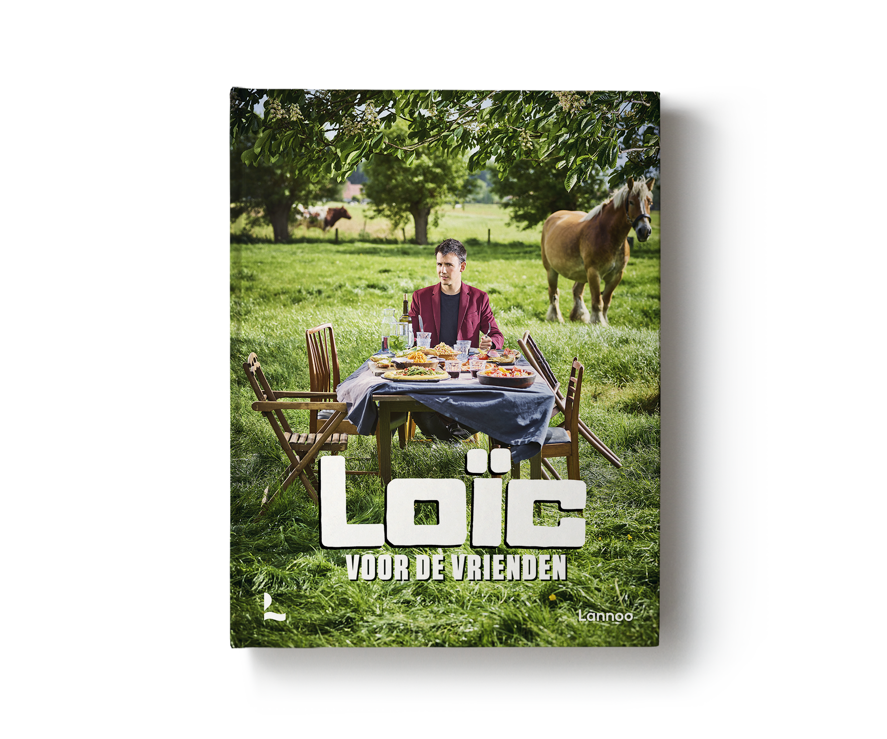 Boek Voor de vrienden