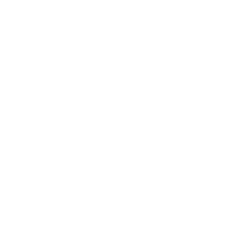 holistic approach.png