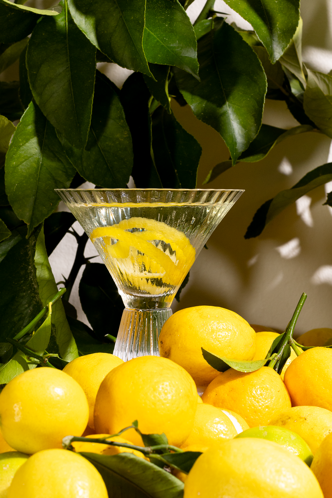 lemon-drop-9.png