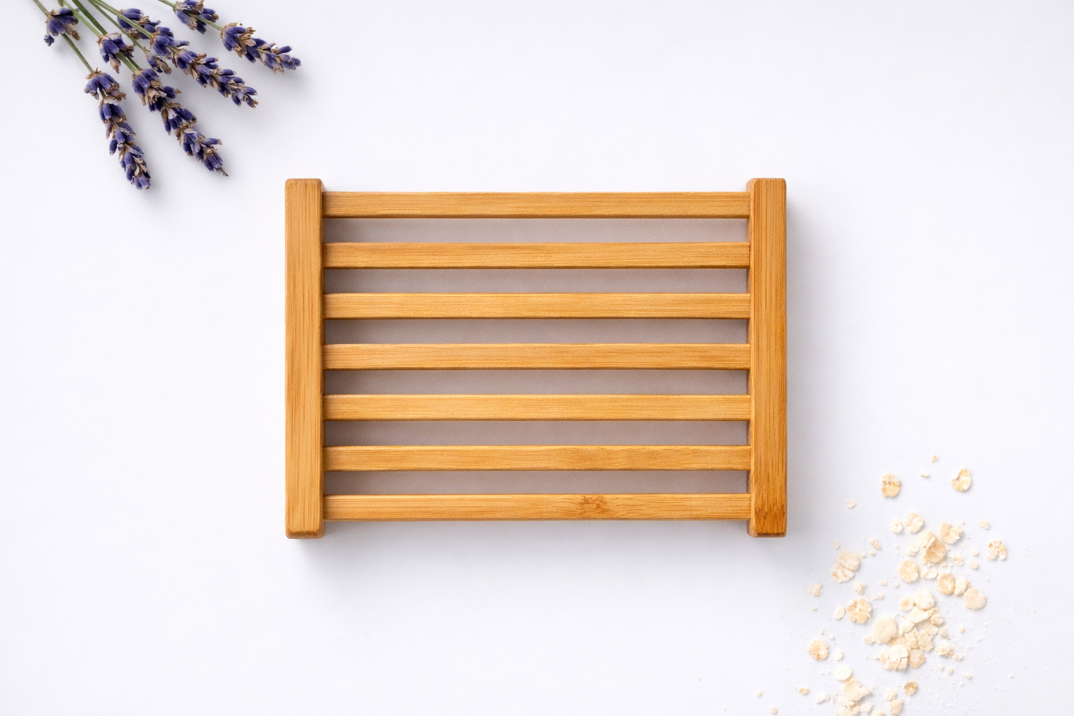 ChatGPT Image Feb 26, 2026, 09_34_33 AM.png