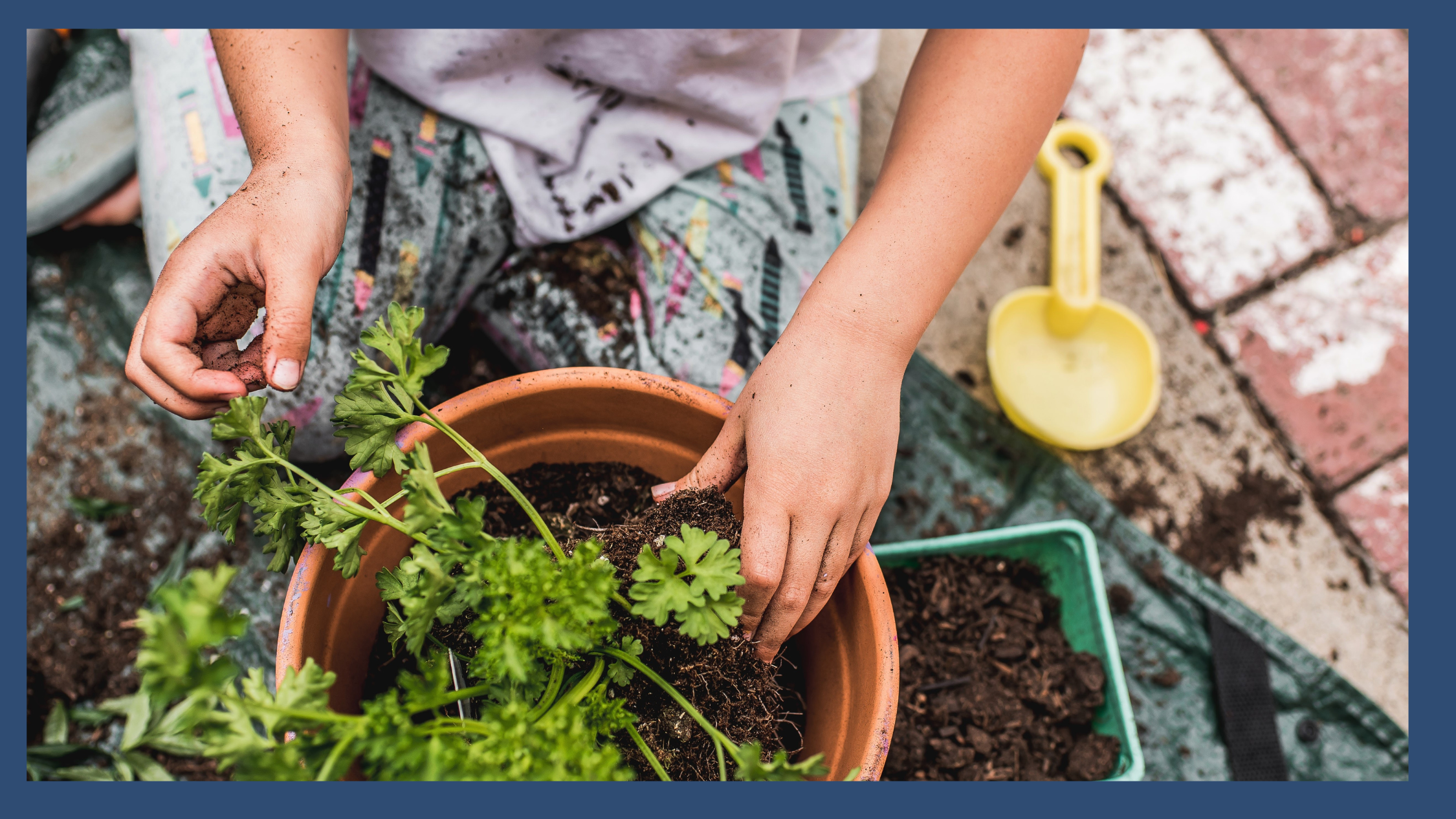 A child's hands planting herbs in a terracotta pot with soil and gardening tools, representing a hands-on summer project that builds executive functioning skills like planning, sequencing, and follow-through