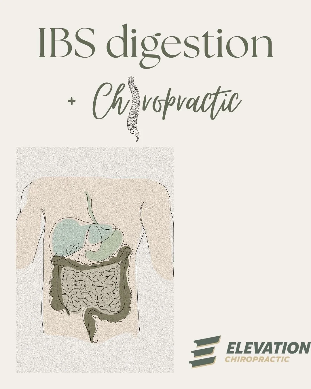 Irritable Bowel Syndrome and digestive issues aren&rsquo;t just about what you eat; your gut and nervous system are closely connected. When the spine isn&rsquo;t moving properly, it can affect how your digestive system works, leading to bloating, con