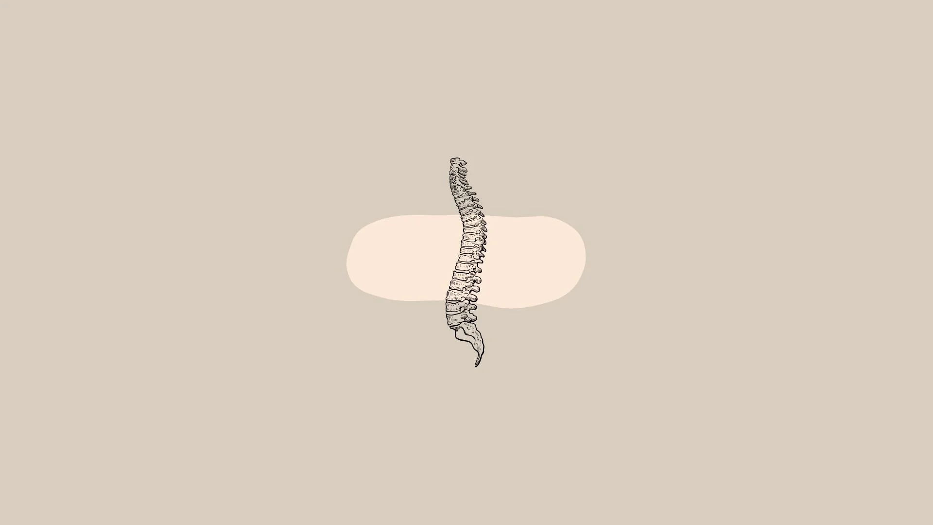 Top Reasons Ankeny Residents See a Chiropractor Elevation Chiropractic | Ankeny Chiropractor | Dr. Jonah