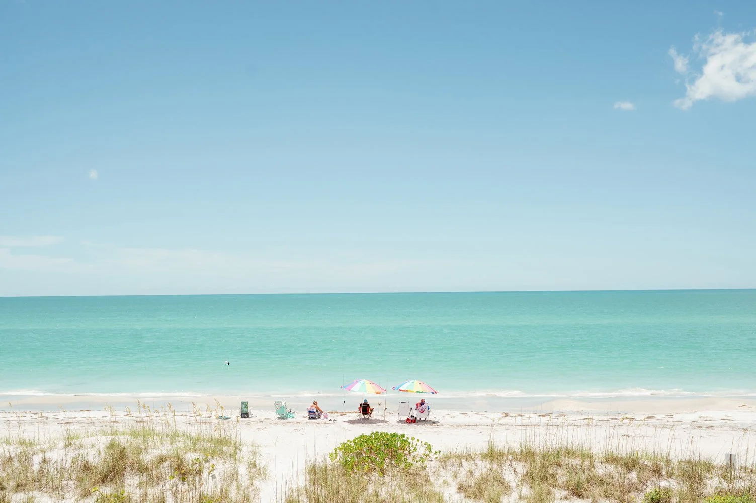 st.pete photographer